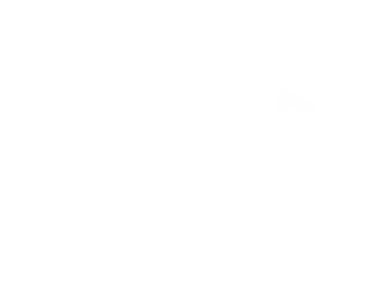 FOIZ Logo